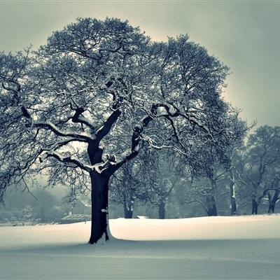 ManBetX·网页版截图